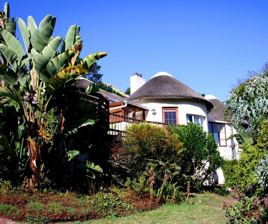 Badger'S Lodge Knysna Exterior photo